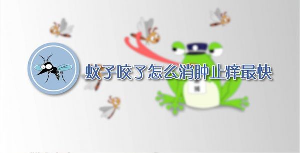 蚊子咬了怎么消肿止痒最快