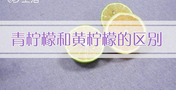 青柠檬和黄柠檬的区别