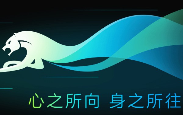 猎豹浏览器 8.0.0.22121