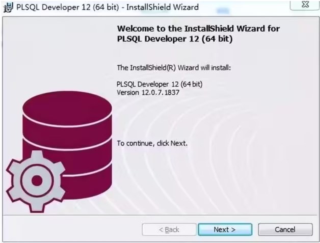 PL/SQL Developer 13.0.1