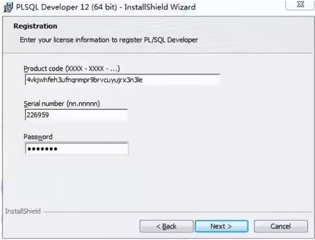 PL/SQL Developer 13.0.1