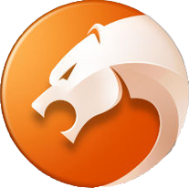 猎豹浏览器 8.0.0.22121