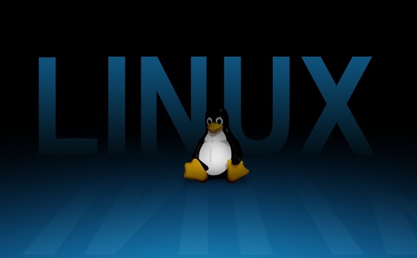 Linux Kernel 6.1.12